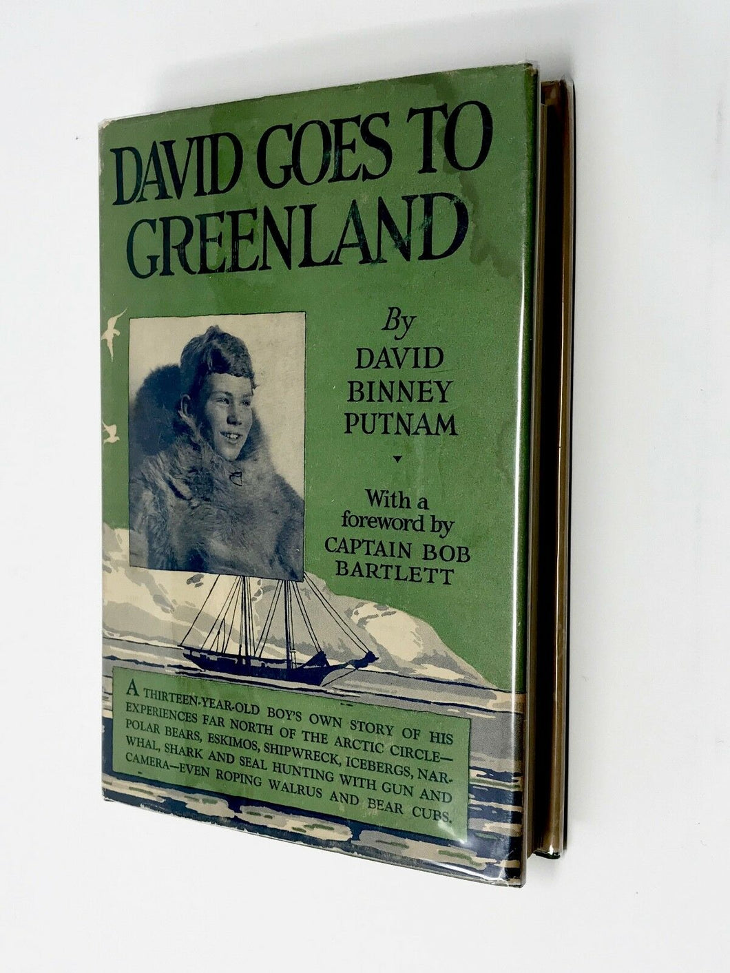 DAVID GOES TO GREENLAND - DAVID PUTNAM